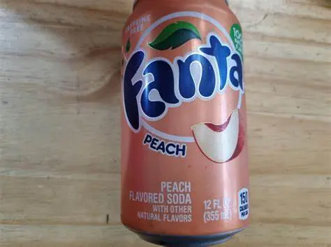 [FPC] Fanta Peach Can - 355ml