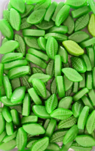 [RSL] Rainbow Spearmint Leaves - Per 100g
